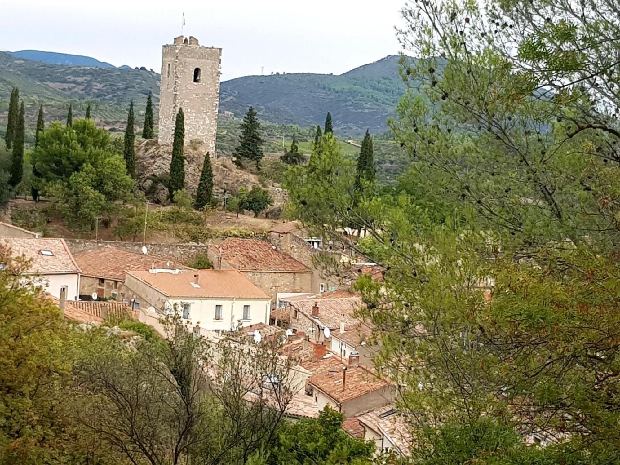 La Loubiere - Gite Cessenon-sur-Orb Dış mekan fotoğraf