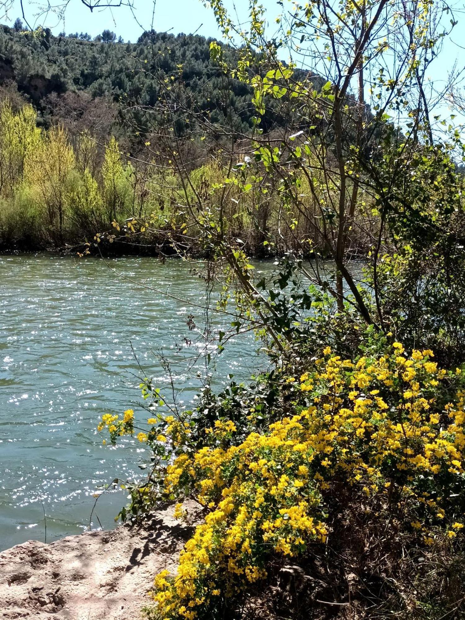 La Loubiere - Gite Cessenon-sur-Orb Dış mekan fotoğraf